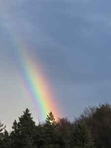 Predigt zu 1. Mose 12,1-4 Sonntag Lätare Regenbogen Gottes Bund mit den Menschen besonders schön