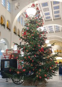 Home Aufblühen Weihnachte Tannenbaum Bad Kissingen Wandelhalle Weihnachtsbaum Frohe Weihnachten